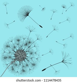 Abstract background of a dandelion for design. The wind blows the seeds of a dandelion. Template for posters, wallpapers, posters. Vector illustrations.