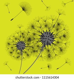 Abstract background of a dandelion for design. The wind blows the seeds of a dandelion. Template for posters, wallpapers, posters. Vector illustrations.