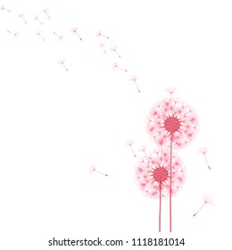 Abstract background of a dandelion for design. The wind blows the seeds of a dandelion. Template for posters, wallpapers, posters. Vector illustrations.