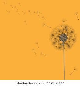 Abstract background of a dandelion for design. The wind blows the seeds of a dandelion. Template for posters, wallpapers, posters. Vector illustrations.
