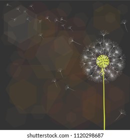Abstract background of a dandelion for design. The wind blows the seeds of a dandelion. Template for posters, wallpapers, posters. Vector illustrations.