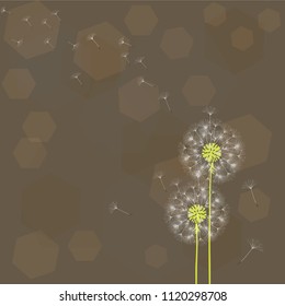 Abstract background of a dandelion for design. The wind blows the seeds of a dandelion. Template for posters, wallpapers, posters. Vector illustrations.