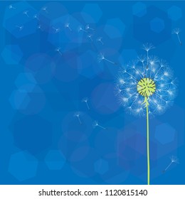 Abstract background of a dandelion for design. The wind blows the seeds of a dandelion. Template for posters, wallpapers, posters. Vector illustrations.