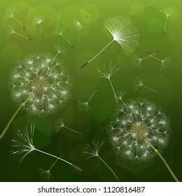 Abstract background of a dandelion for design. The wind blows the seeds of a dandelion. Template for posters, wallpapers, posters. Vector illustrations.