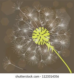 Abstract background of a dandelion for design. The wind blows the seeds of a dandelion. Template for posters, wallpapers, posters. Vector illustrations.