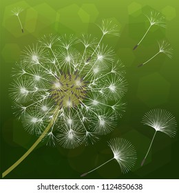 Abstract background of a dandelion for design. The wind blows the seeds of a dandelion. Template for posters, wallpapers, posters. Vector illustrations.