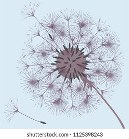Abstract background of a dandelion for design. The wind blows the seeds of a dandelion. Template for posters, wallpapers, posters. Vector illustrations.