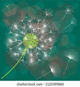 Abstract background of a dandelion for design. The wind blows the seeds of a dandelion. Template for posters, wallpapers, posters. Vector illustrations.