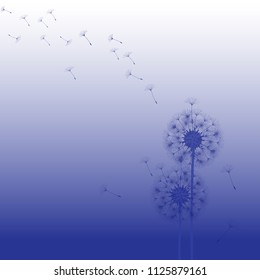 Abstract background of a dandelion for design. The wind blows the seeds of a dandelion. Template for posters, wallpapers, posters. Vector illustrations.