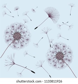 Abstract background of a dandelion for design. The wind blows the seeds of a dandelion. Template for posters, wallpapers, posters. Vector illustrations.