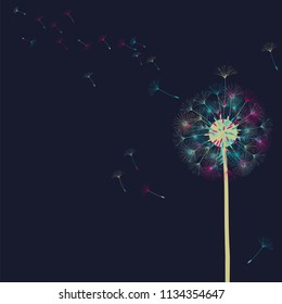 Abstract background of a dandelion for design. The wind blows the seeds of a dandelion. Template for posters, wallpapers, posters. Vector illustrations.