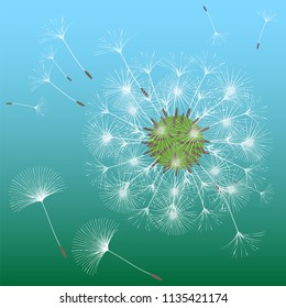 Abstract background of a dandelion for design. The wind blows the seeds of a dandelion. Template for posters, wallpapers, posters. Vector illustrations.