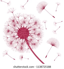 Abstract background of a dandelion for design. The wind blows the seeds of a dandelion. Template for posters, wallpapers, posters. Vector illustrations.