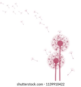 Abstract background of a dandelion for design. The wind blows the seeds of a dandelion. Template for posters, wallpapers, posters. Vector illustrations.