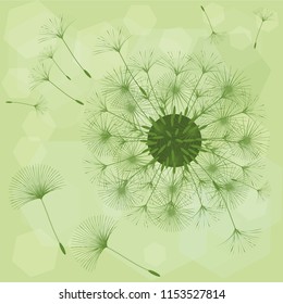 Abstract background of a dandelion for design.  The wind blows the seeds of a dandelion. Template for posters, wallpapers, posters. Vector illustrations.
