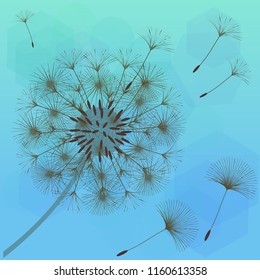 Abstract background of a dandelion for design.  The wind blows the seeds of a dandelion. Template for posters, wallpapers, posters. Vector illustrations.