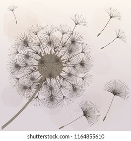 Abstract background of a dandelion for design.  The wind blows the seeds of a dandelion. Template for posters, wallpapers, posters. Vector illustrations.