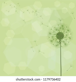 Abstract background of a dandelion for design.  The wind blows the seeds of a dandelion. Template for posters, wallpapers, posters. Vector illustrations.