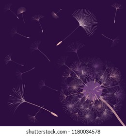 Abstract background of a dandelion for design.  The wind blows the seeds of a dandelion. Template for posters, wallpapers, posters. Vector illustrations.