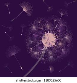 Abstract background of a dandelion for design.  The wind blows the seeds of a dandelion. Template for posters, wallpapers, posters. Vector illustrations.