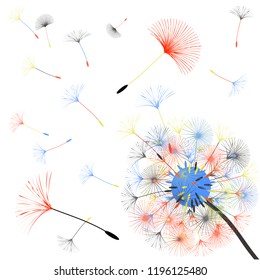 Abstract background of a dandelion for design.  The wind blows the seeds of a dandelion. Template for posters, wallpapers, posters. Vector illustrations.
