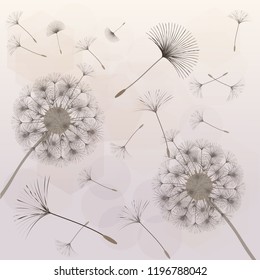 Abstract background of a dandelion for design.  The wind blows the seeds of a dandelion. Template for posters, wallpapers, posters. Vector illustrations.