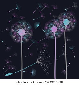 Abstract background of a dandelion for design.  The wind blows the seeds of a dandelion. Template for posters, wallpapers, posters. Vector illustrations.