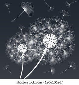 Abstract background of a dandelion for design.  The wind blows the seeds of a dandelion. Template for posters, wallpapers, posters. Vector illustrations.