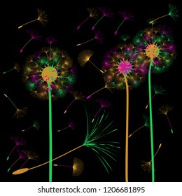 Abstract background of a dandelion for design.  The wind blows the seeds of a dandelion. Template for posters, wallpapers, posters. Vector illustrations.