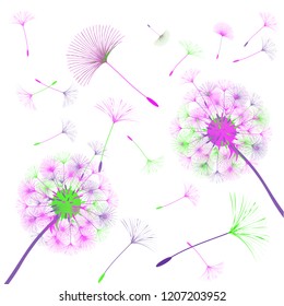 Abstract background of a dandelion for design.  The wind blows the seeds of a dandelion. Template for posters, wallpapers, posters. Vector illustrations.
