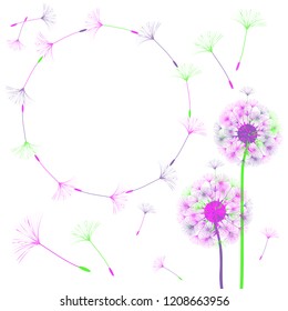 Abstract background of a dandelion for design.  The wind blows the seeds of a dandelion. Template for posters, wallpapers, posters. Vector illustrations.