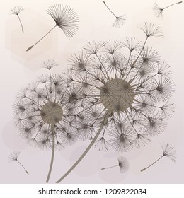 Abstract background of a dandelion for design.  The wind blows the seeds of a dandelion. Template for posters, wallpapers, posters. Vector illustrations.