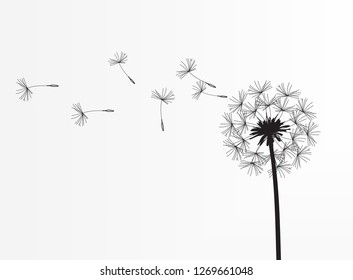 Abstract background of a dandelion for design. The wind blows the seeds of a dandelion. Template for posters, wallpapers, posters. Vector illustration