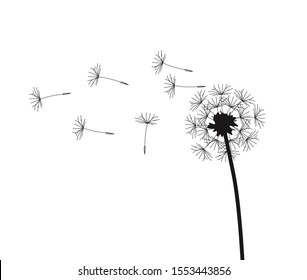 Abstract background of a dandelion for design. The wind blows the seeds of a dandelion. Template for posters, wallpapers, posters. Vector illustration