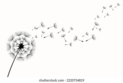 Abstract background of a dandelion for design. The wind blows the seeds of a dandelion.  Vector illustration