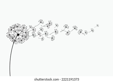Abstract background of a dandelion for design. The wind blows the seeds of a dandelion.  Vector illustration