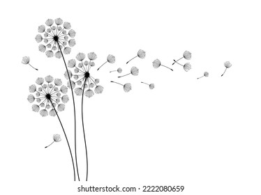 Abstract background of a dandelion for design. The wind blows the seeds of a dandelion.  Vector illustration