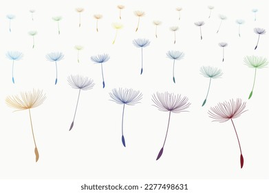 Abstract background of a dandelion for design. The wind blows the seeds of a dandelion.