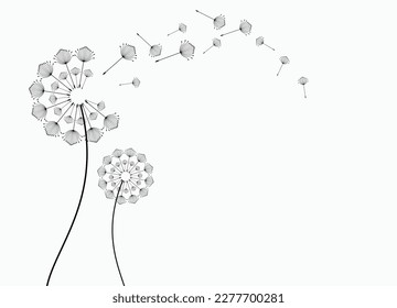 Abstract background of a dandelion for design. The wind blows the seeds of a dandelion.  Vector illustration