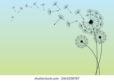 Abstract background of a dandelion for design. The wind blows the seeds of a dandelion.  Vector illustration
