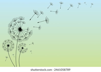 Abstract background of a dandelion for design. The wind blows the seeds of a dandelion.  Vector illustration