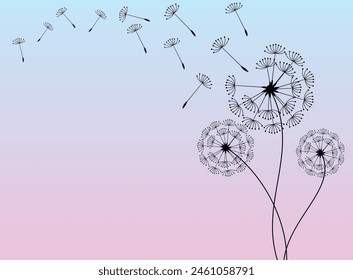 Abstract background of a dandelion for design. The wind blows the seeds of a dandelion.  Vector illustration