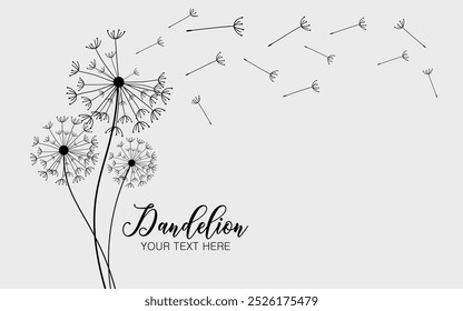 Abstract background of a dandelion for design. The wind blows the seeds of a dandelion.