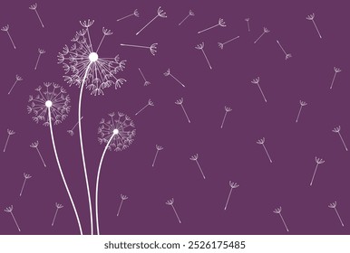 Abstract background of a dandelion for design. The wind blows the seeds of a dandelion.