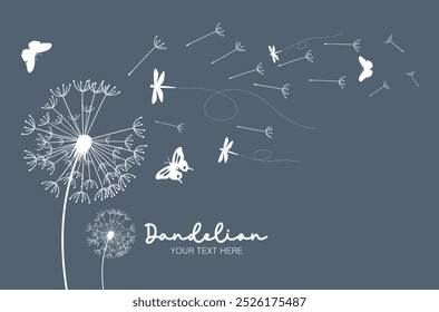 Abstract background of a dandelion for design. The wind blows the seeds of a dandelion.