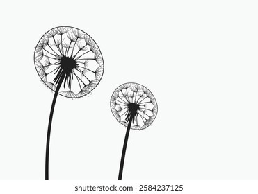 Abstract background of a dandelion for design. The wind blows the seeds of a dandelion. Template for posters, wallpapers, posters. Vector illustration