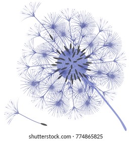 Abstract background of a dandelion for design. The wind blows the seeds of a dandelion. Template for posters, wallpapers, posters. Vector illustrations.