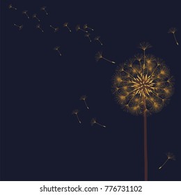 Abstract background of a dandelion for design. The wind blows the seeds of a dandelion. Template for posters, wallpapers, posters. Vector illustrations.