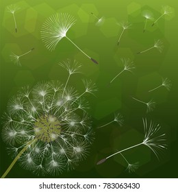 Abstract background of a dandelion for design. The wind blows the seeds of a dandelion. Template for posters, wallpapers, posters. Vector illustrations.