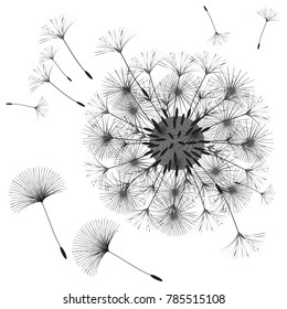Abstract background of a dandelion for design. The wind blows the seeds of a dandelion. Template for posters, wallpapers, posters. Vector illustrations.